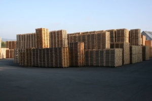 PALLETS FOR EXPEDITION