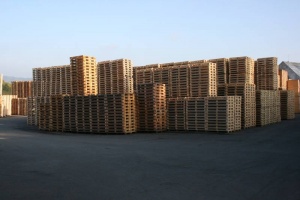 Pallets for expedition